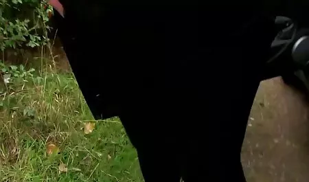 استاد بلوند را به داخل حمام فریب داد سکسی سیاوش دلسوز و در آنجا به او تجاوز کرد